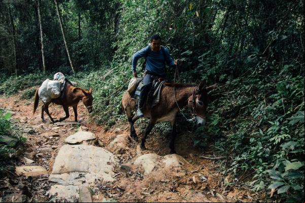 O caminho para o Quilombo Bombas é íngreme, sinuoso e esburacado