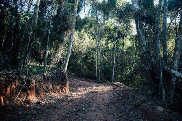 Nova estrada feita pela Fundação Florestal não soluciona a dificuldade de o dos moradores do Quilombo Bombas
