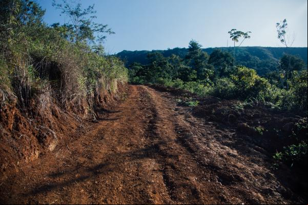 Nova estrada feita pela Fundação Florestal não soluciona a dificuldade de o dos moradores do Quilombo Bombas