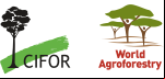 Cifor-Icraf