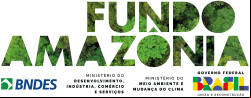 Fundo Amazônia