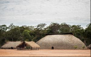Xingu